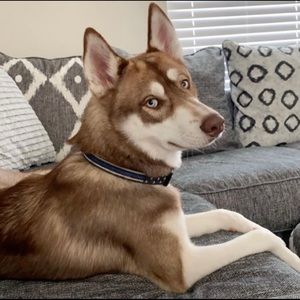 Meet your Posher, Katelyn